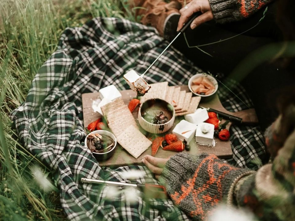 picnic