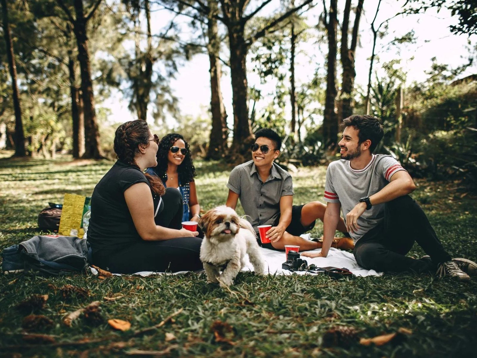 friends picnic