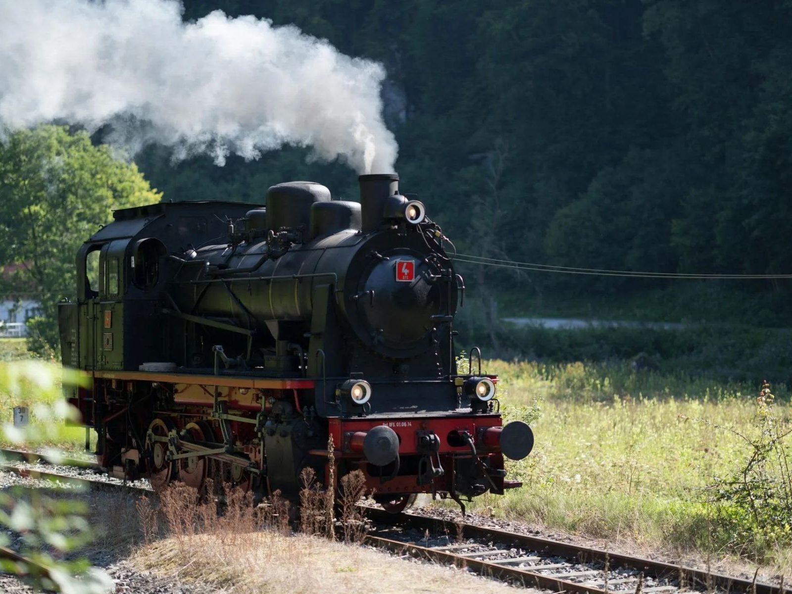 train